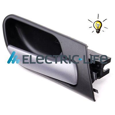 ZR60213