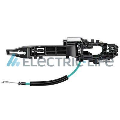ZR80619