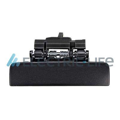ZR8090307