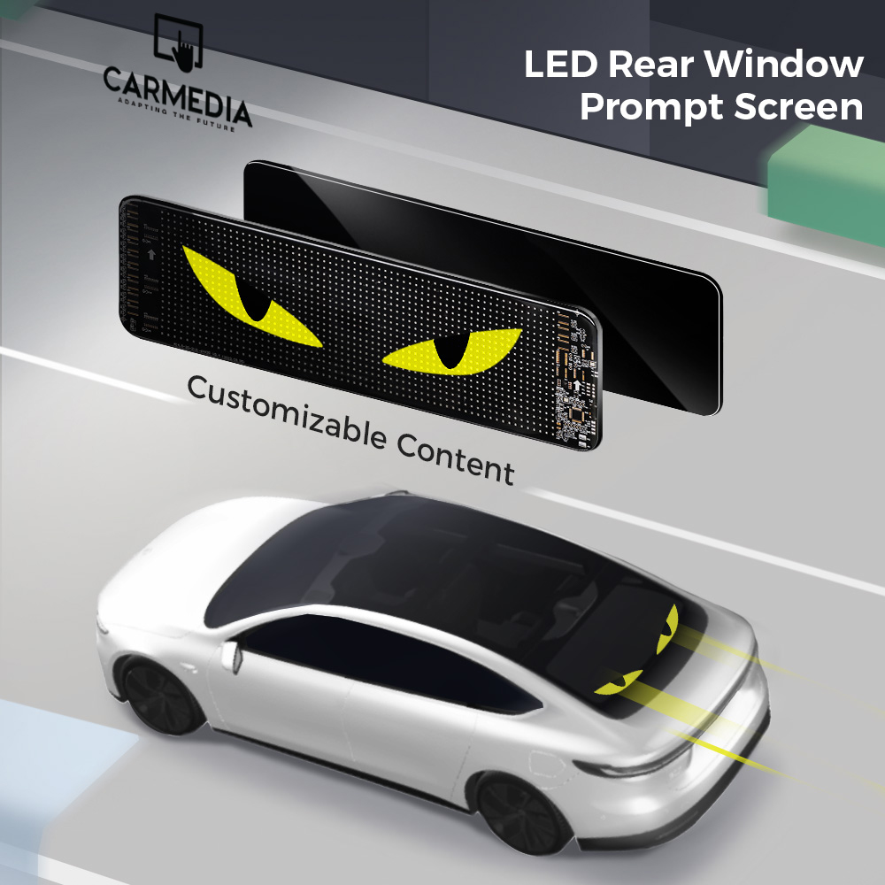 CARMEDIA CMDU 301 LED DISPLAY